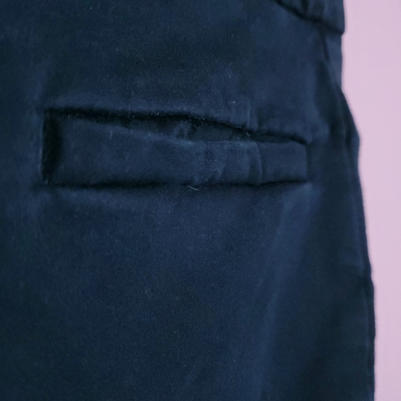 Anthropologie Cropped Skinny Pedal Pusher Pants - Picture 6 of 11